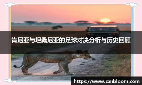 肯尼亚与坦桑尼亚的足球对决分析与历史回顾