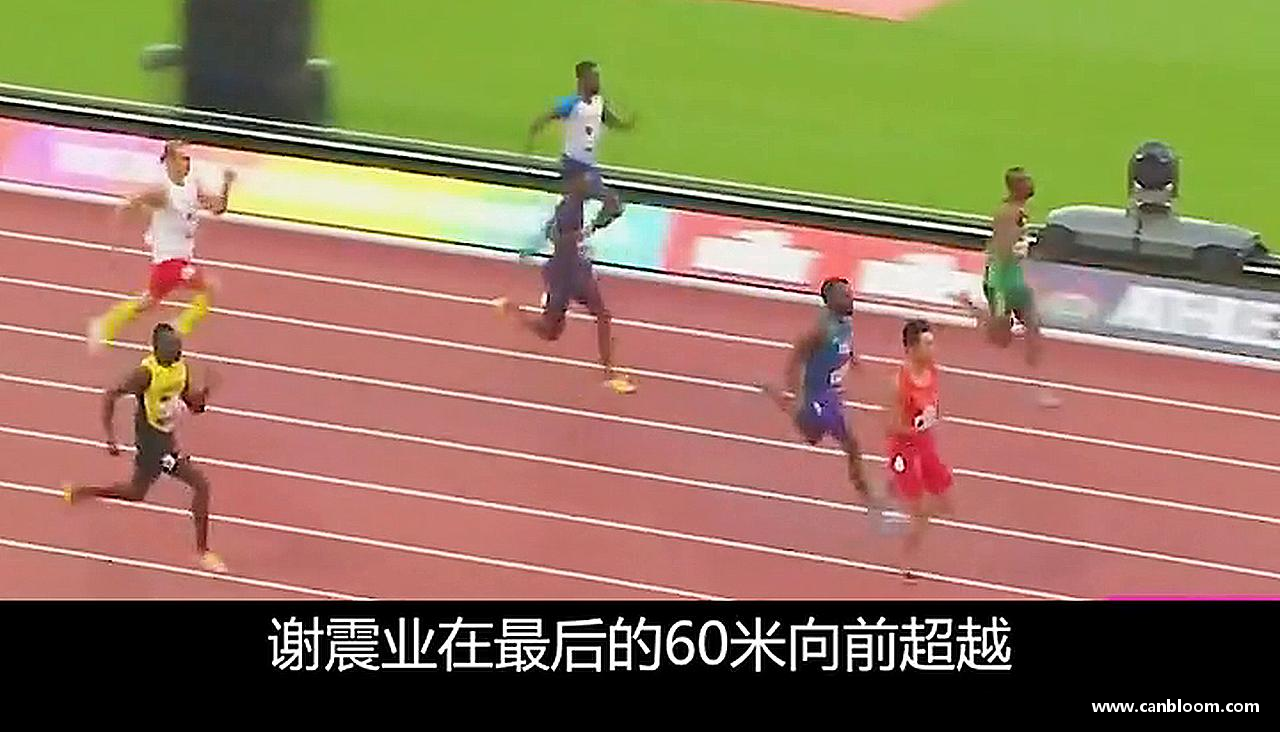拼尽全力，聚集荣耀